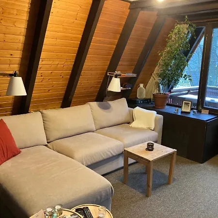 Chalet Heimeliges Nurdachhauschen - Elsa - In Leinsweiler